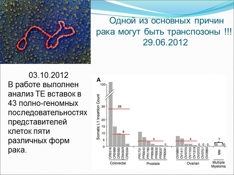 Одной из основных причин рака могут быть транспозоны !!!   29.06.2012  03.10.2012
